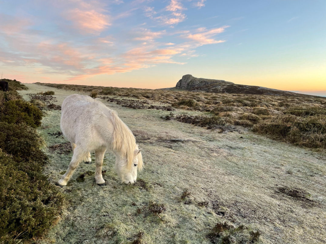 Dartmoor National Park